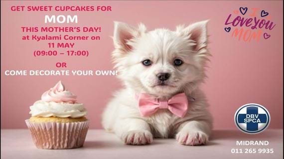 SPCA Midrand Mother's Day Cupcake Sale